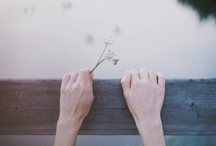 ͼƬ