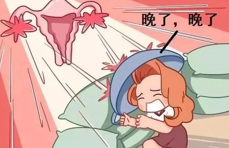 ͼƬ