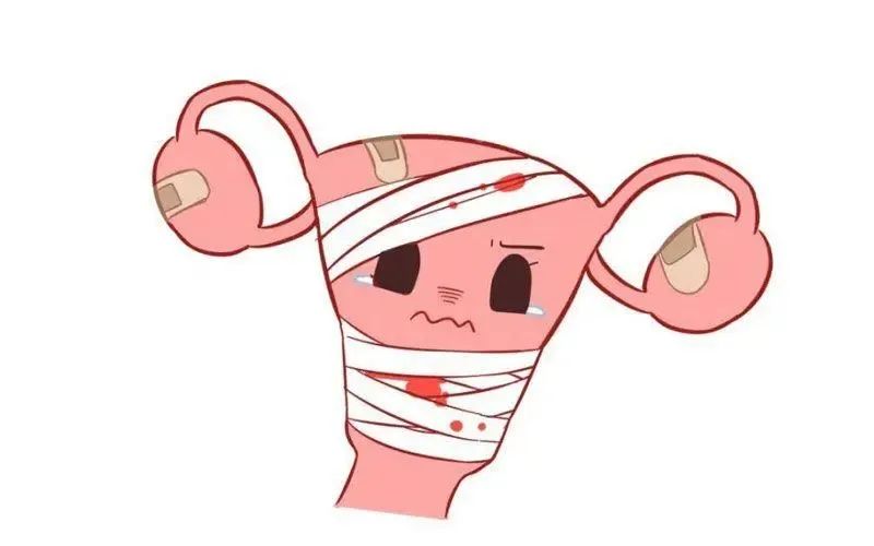 ͼƬ