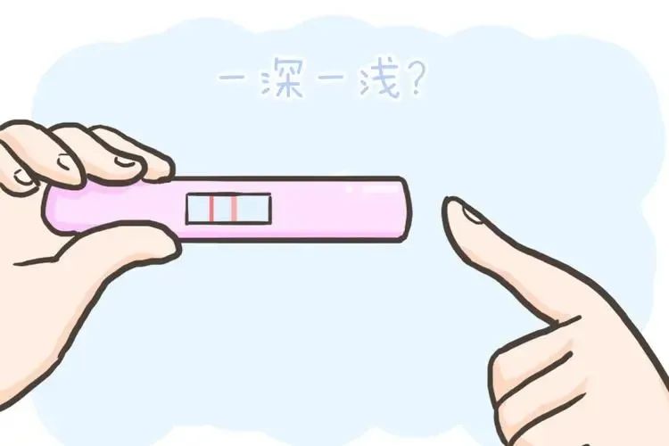 ͼƬ