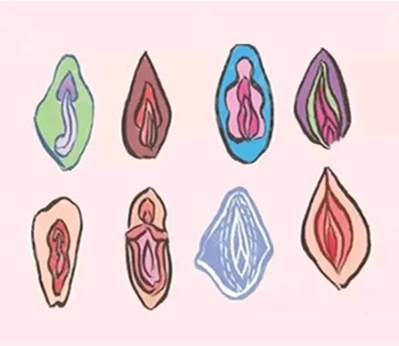 ͼƬ
